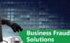 Business Fraud Solutions.
