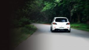 white car driving in green forest