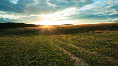 Rural Development Loans