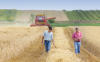 Two Farmers walking in a wheat field