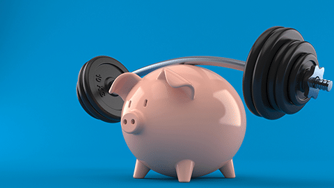 Pig Lifting Weights